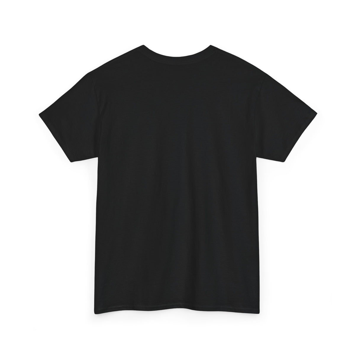 Boxing Match Graphic Tee – Two Fighters in the Ring T-Shirt